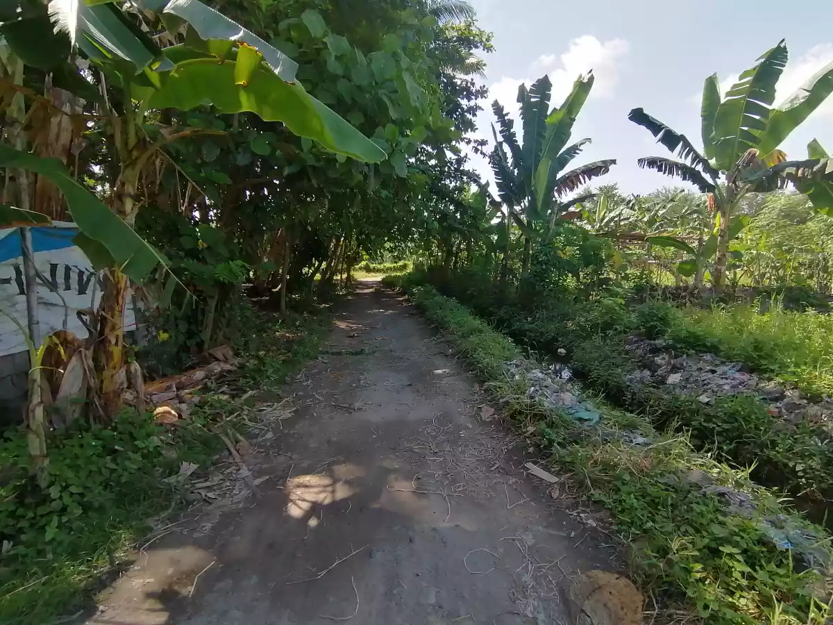 1000SQM RESIDENTIAL LOT IN SAN ISIDRO RUSH SALE 