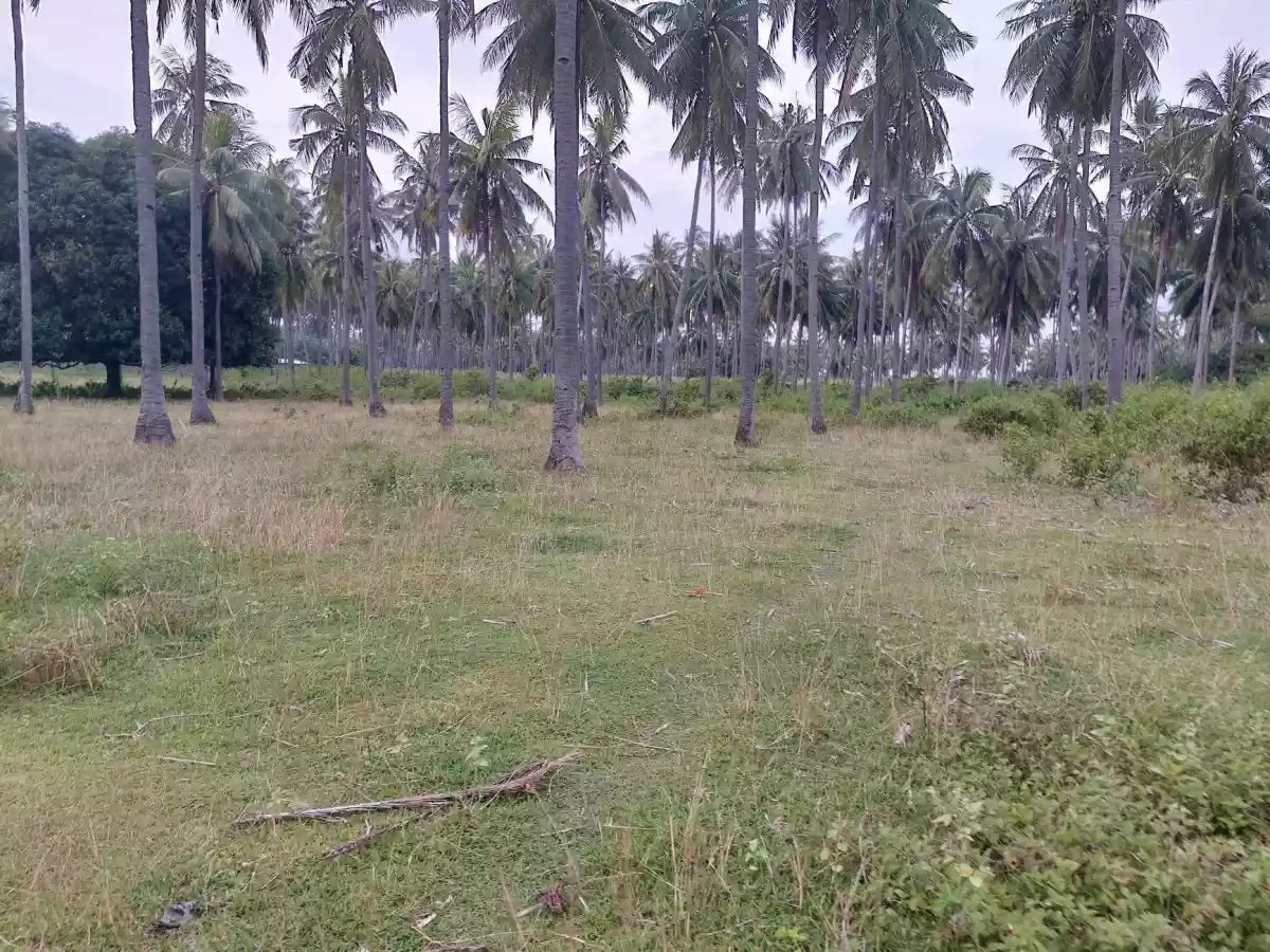 LOT FOR SALE - photo 4