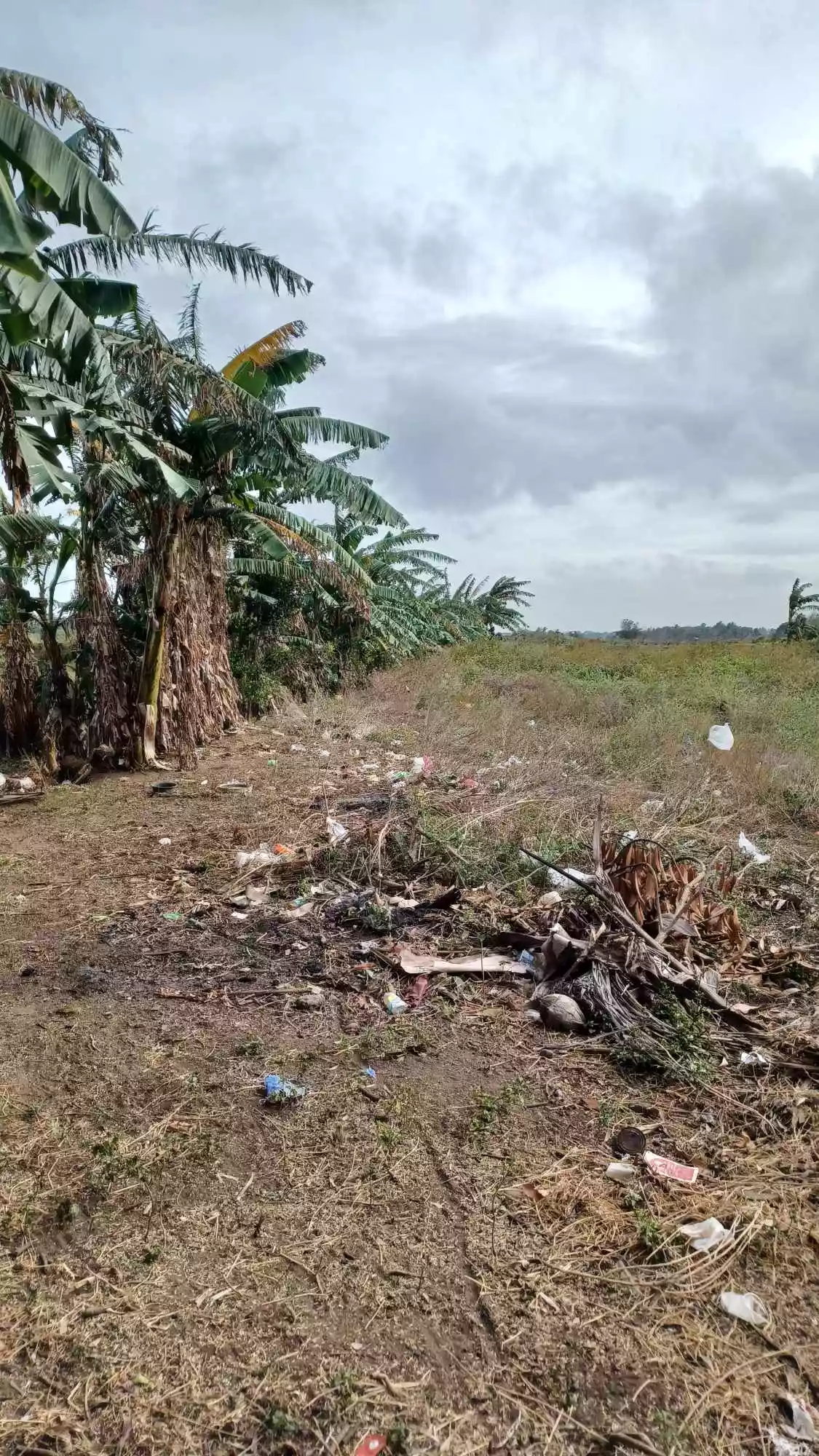 Pulupandan Lot for sale along the road — Commercial Lot in Negros South Road, Pulupandan, Negros Occidental — Photo 3