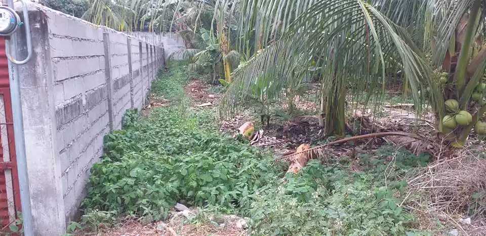 FOR SALE ! 563 SQM RESIDENTIAL LOT @ Prk. Masunurin, San Isidro, GSC - photo 2