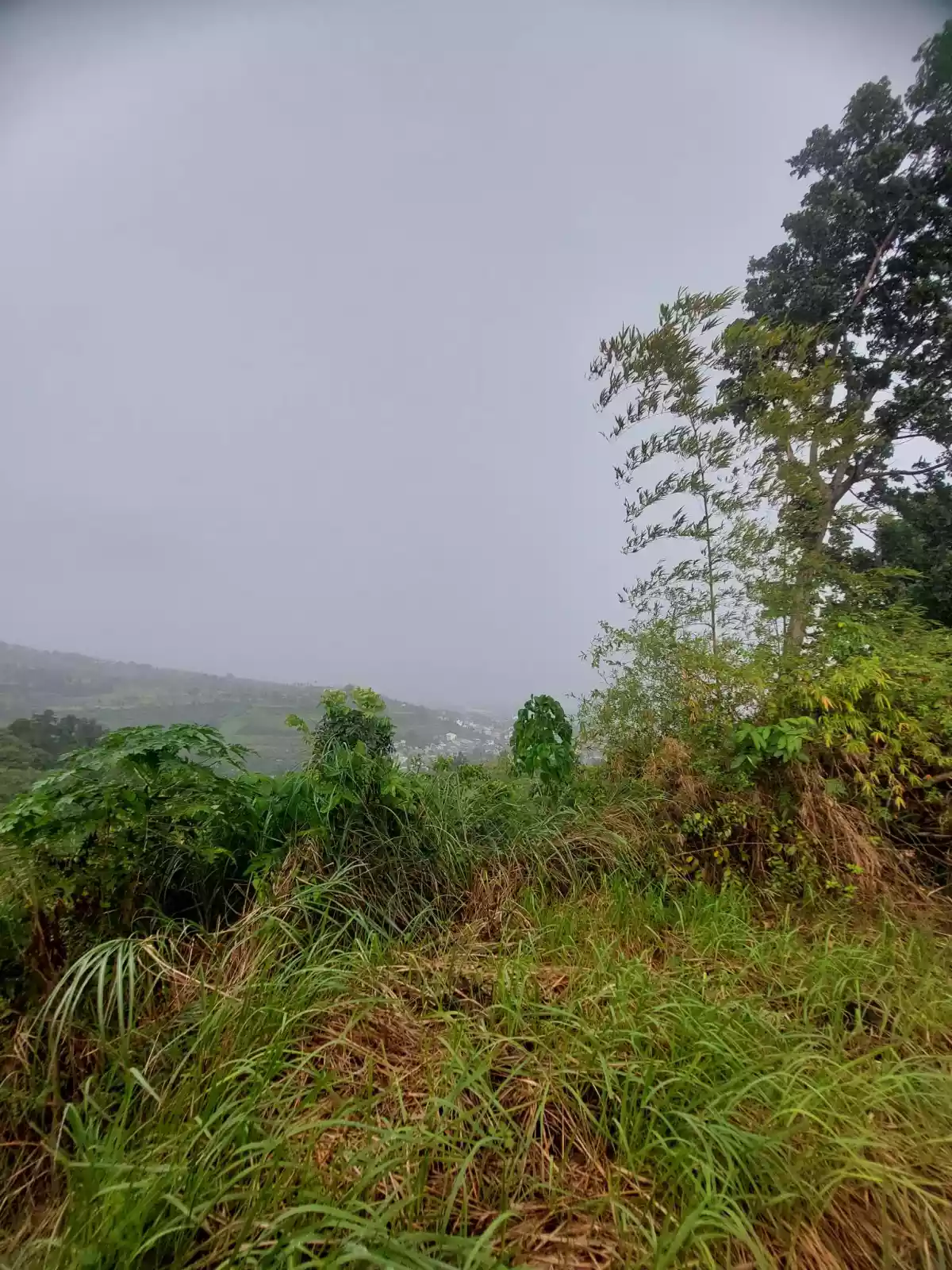 LOT IN VISTA GRANDE SUBD. TALISAY CITY CEBU FOR SALE — Residential Lot in Rio de Janeiro Street, Talisay, Cebu — Photo 5