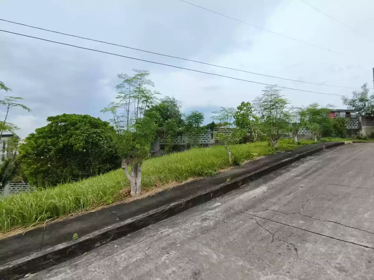 Residential Corner Lot in Royale Cebu Estate — Residential Lot in Consolacion, Cebu, Philippines — Photo 3