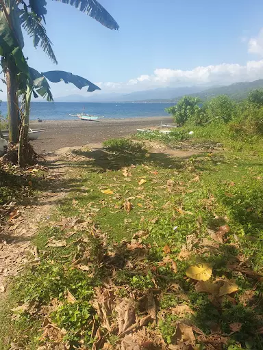 PROPLINK_BARR_TAYASAN 02 — Beach Lot in Negros Oriental, Philippines — Photo 2