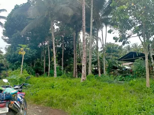 Residential lot for sale — Residential Lot in calinan, Davao City, Davao del Sur — Photo 3