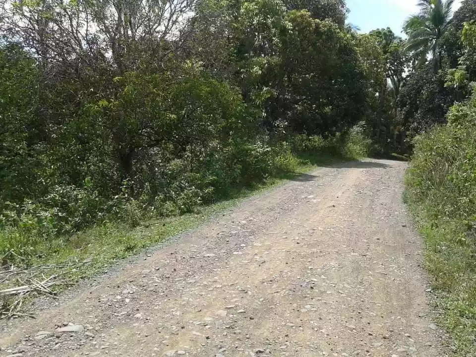 LOT — Agricultural Lot in Balamban, Cebu, Philippines — Photo 3