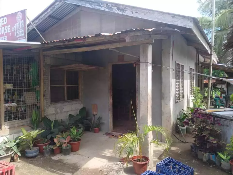 House and lot  sale - photo 4