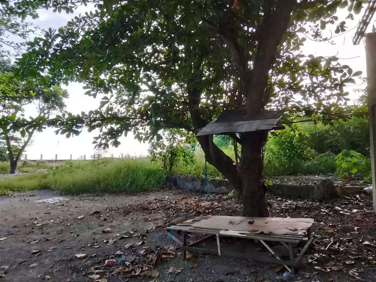 Beach Lot in Talisay, Cebu - photo 4
