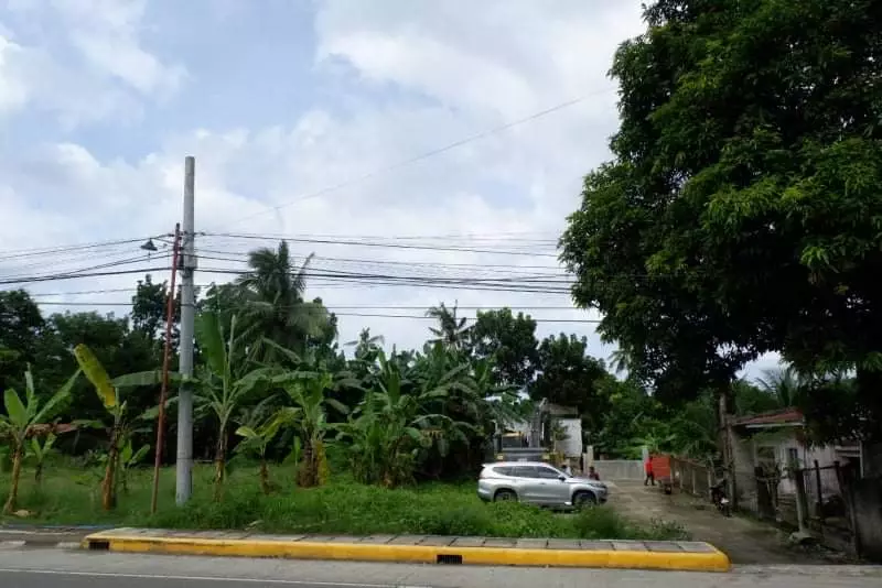 Rush Sale Lot in Arpili Balamban, Cebu. Along National Roadâ€¼ï¸ - photo 4