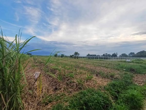 Lot - Silay City along Cir. Road going EB Magalona - photo 5
