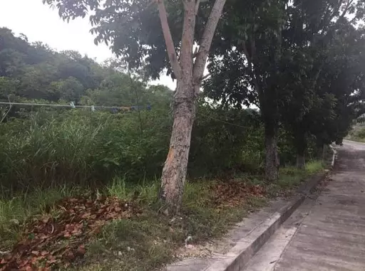 Subdivision Lot for Sale — Residential Lot in Consolacion, Consolacion, Cebu — Photo 3