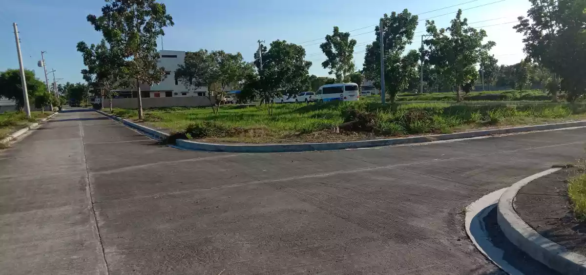 204sqm Colinas Corner Lot - photo 5