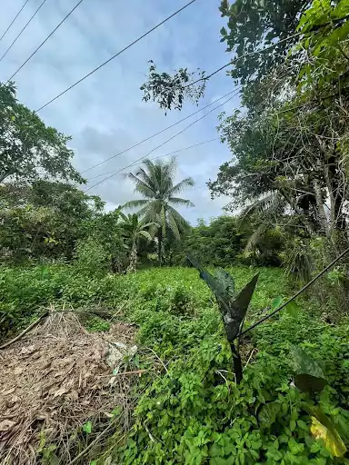FORTUNEVILLE SAGAY LOT FOR SALE! NEAR THE ENTRANCE!