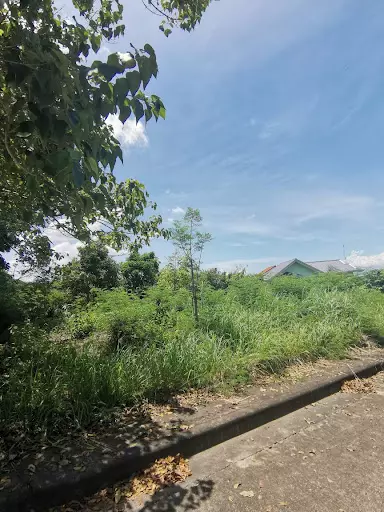Overlooking Lot for sale in Vista Grande, Bulacao — Residential Lot in Talisay, Cebu, Philippines — Photo 3
