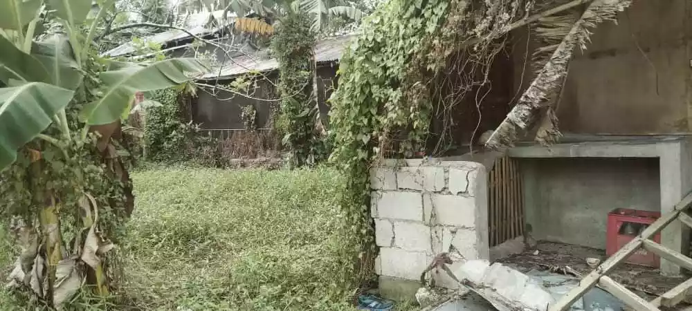 1000 Sqm Farm Lot - photo 5