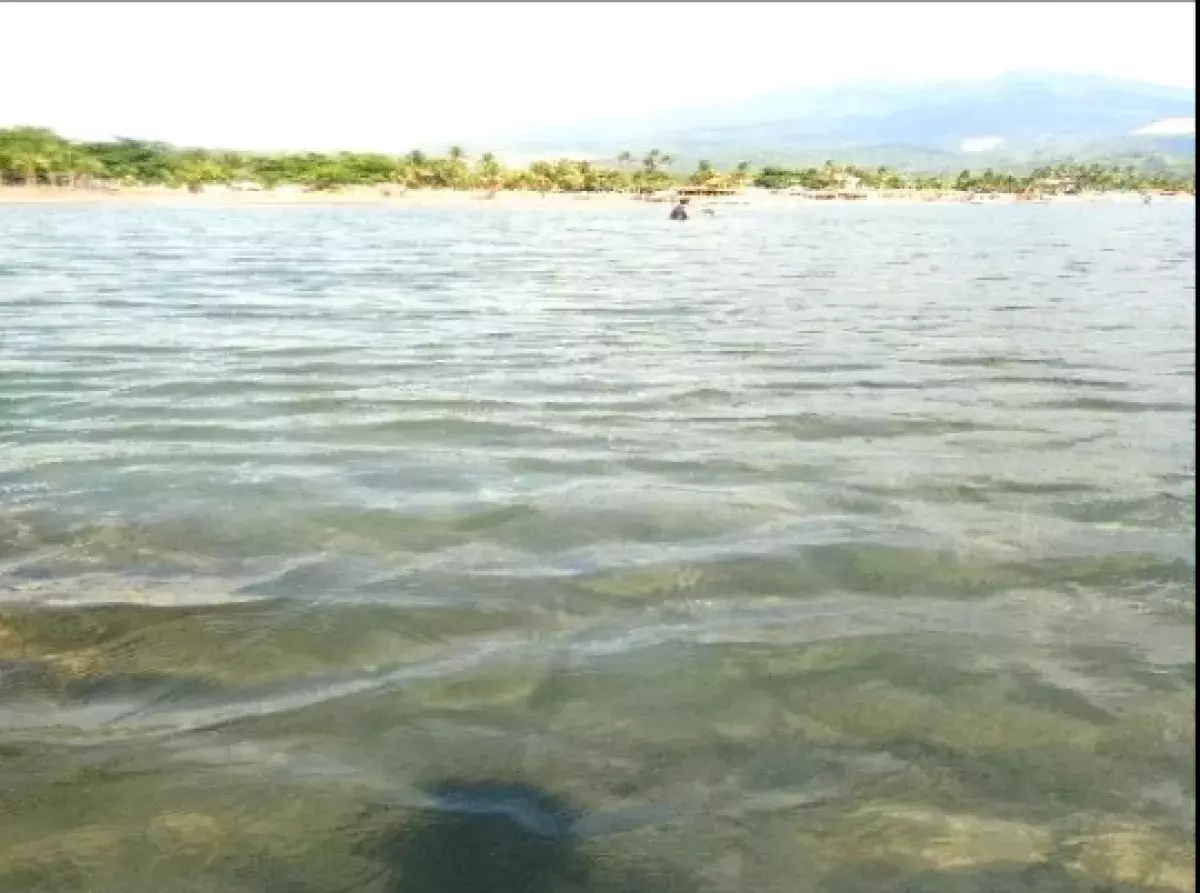 Open photo 11 of 13 — Luxury Beach Resort Opportunity in Brgy Saysain, Bagac Bataan