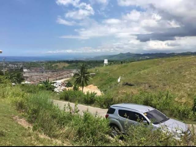 Lot For Sale - Linao Talisay