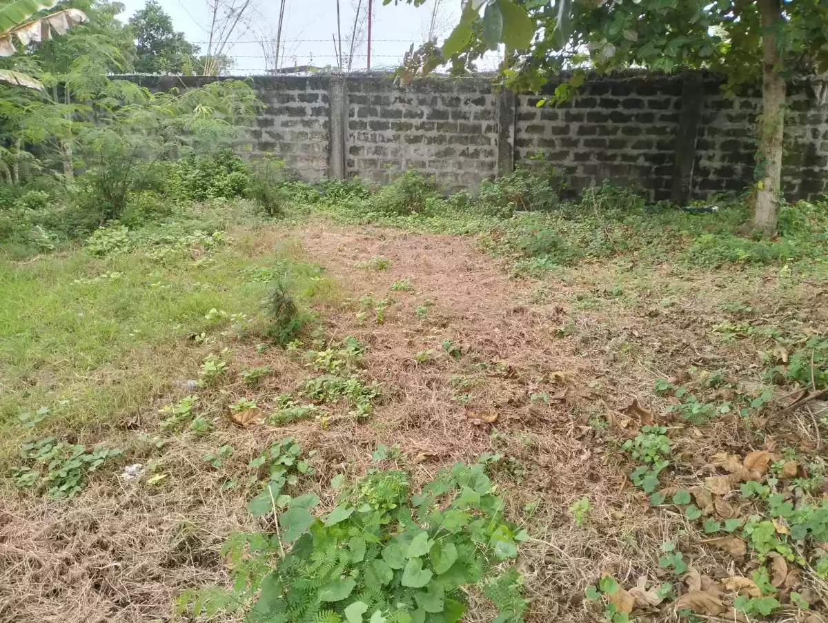 Residential lot for SALE IN PACIFIC GRAND - photo 4