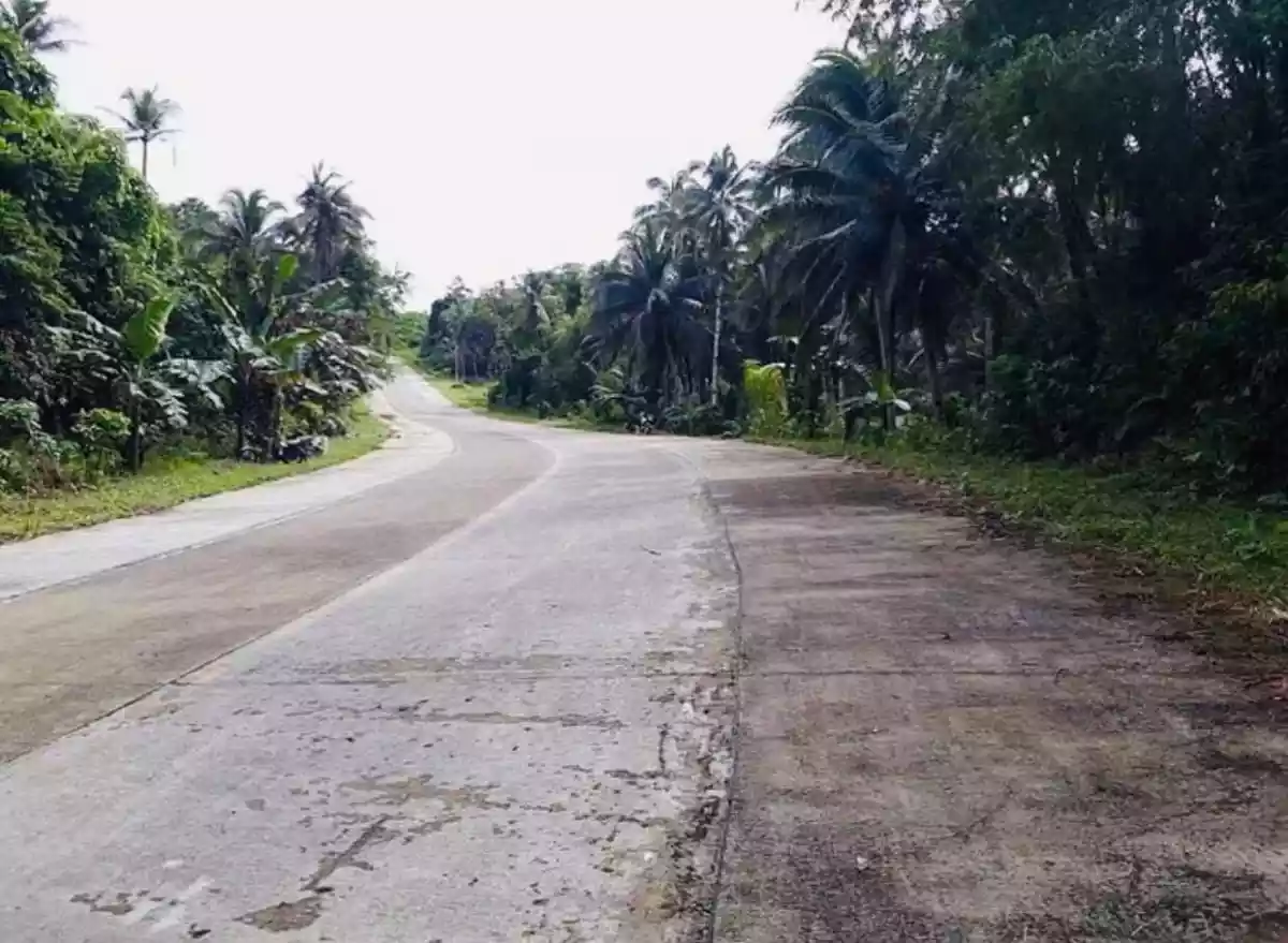 LOT FOR SALE @ SIARGAO ISLAND — Agricultural Lot in Philippines — Photo 3