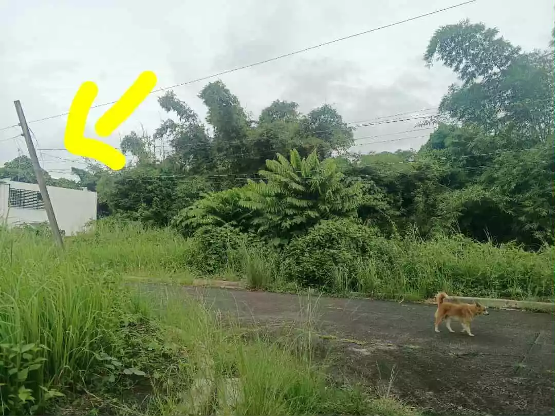 Monte Cielo Lot For Sale — Residential Lot in Naga City, Camarines Sur, Philippines — Photo 7