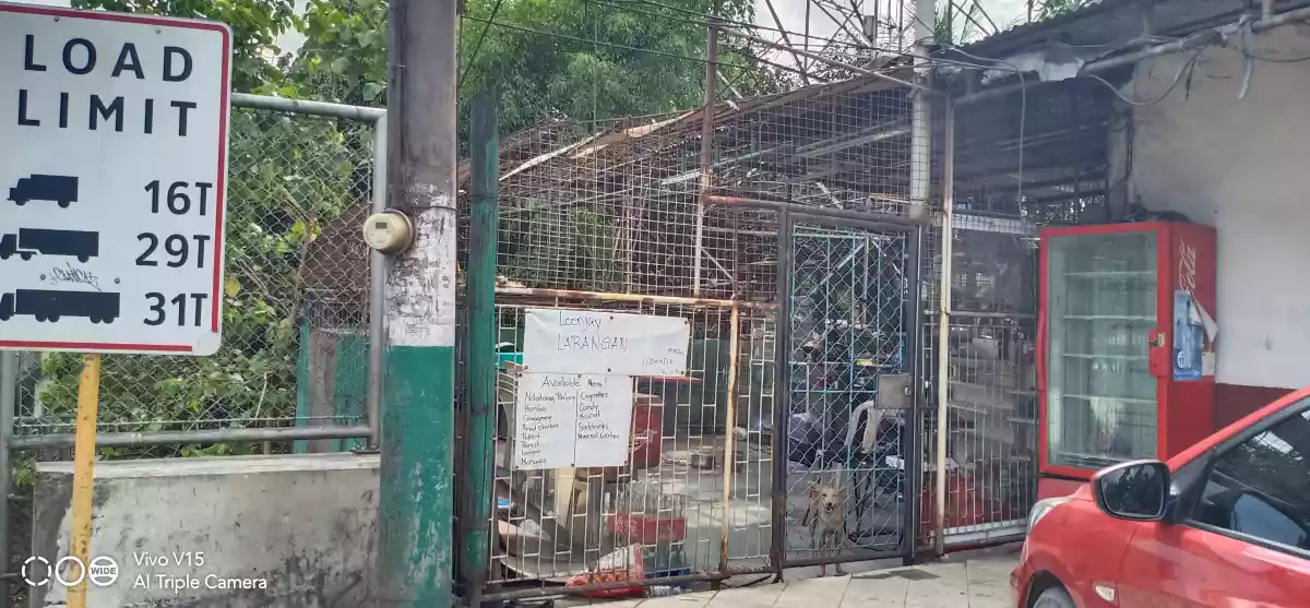Commercial/Prime Lot For Sale in Tipolo, Mandaue City - photo 7