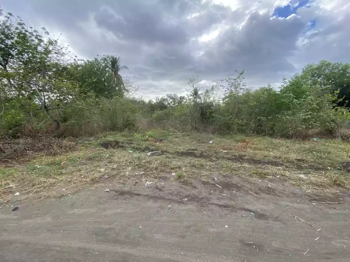Residential Lot in Funda-Dalippe, San Jode De Beunavista, Antique — Residential Lot in San Jose de Buenavista, Antique, Philippines — Photo 5