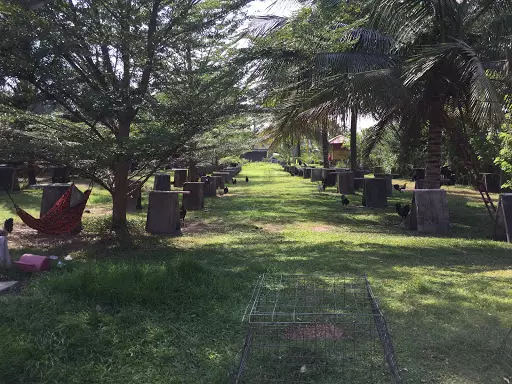 Canitoan Lot for sale! — Commercial Lot in Cagayan de Oro, Misamis Oriental, Philippines — Photo 3