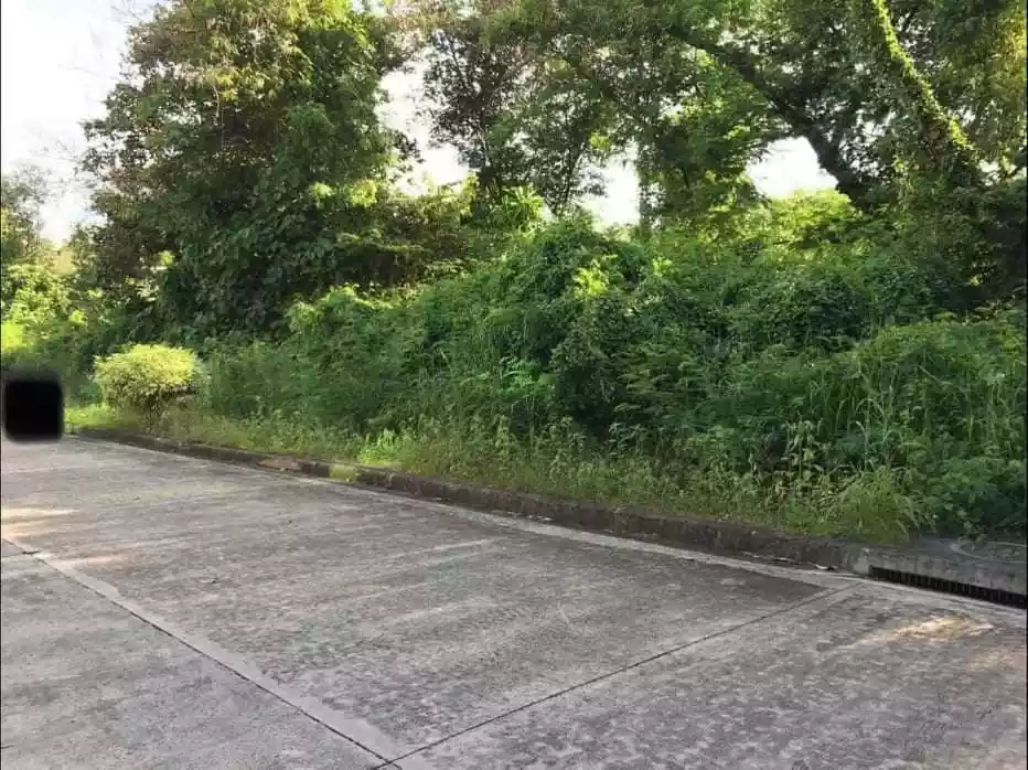 FOR SALE: 319SQM Residential Lot in The Heritage (Maria Luisa North) - photo 4