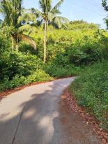 Lot for Sale in Carmen, Cebu — Agricultural Lot in Cebu, Philippines — Photo 4