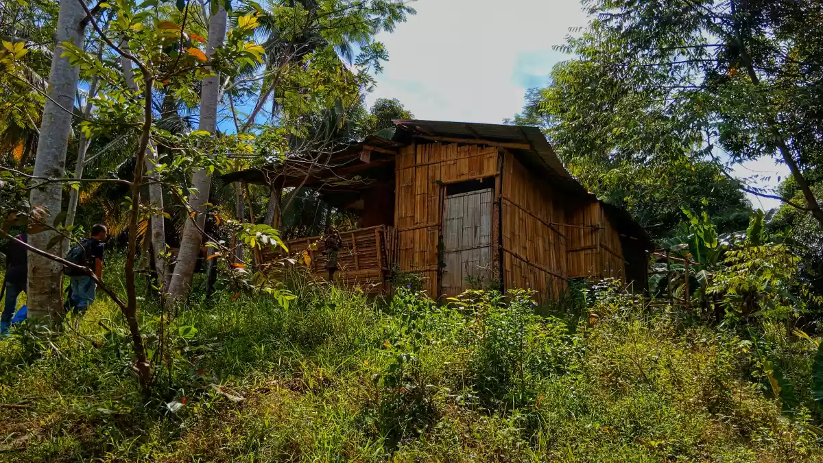 Overlooking Farmland For Sale - photo 5