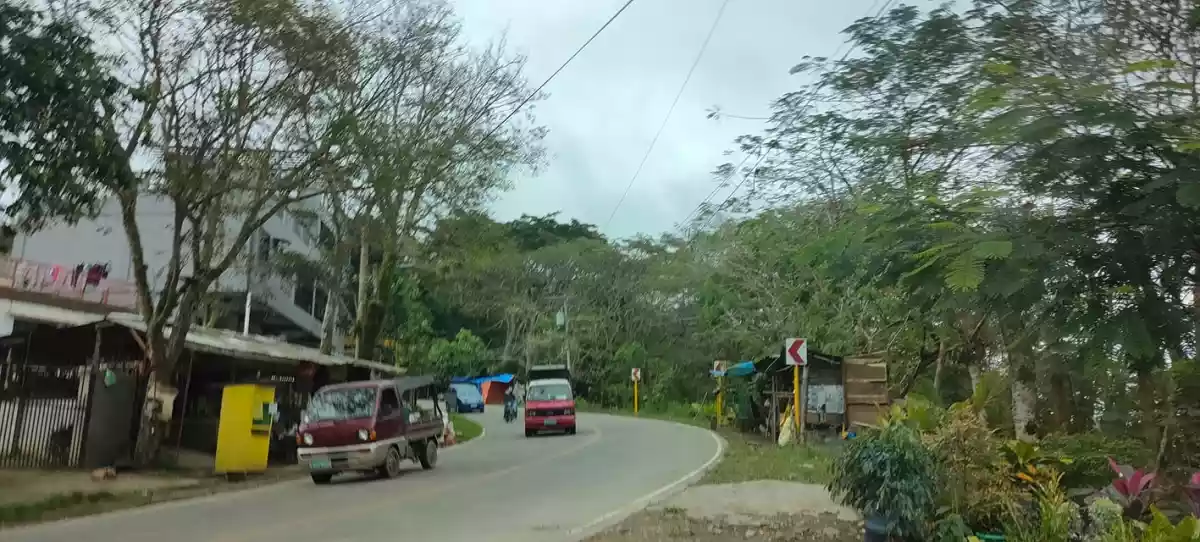 Lot along Hi-way of Transcentral Babag, Cebu City — Agricultural Lot in Apas, Cebu City, Cebu — Photo 4