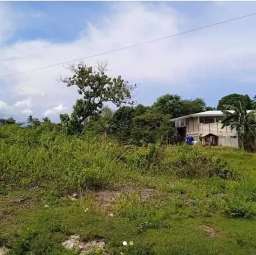 Lot for SALE in Liloan-Cebu — Residential Lot in Liloan, Cebu, Philippines — Photo 4