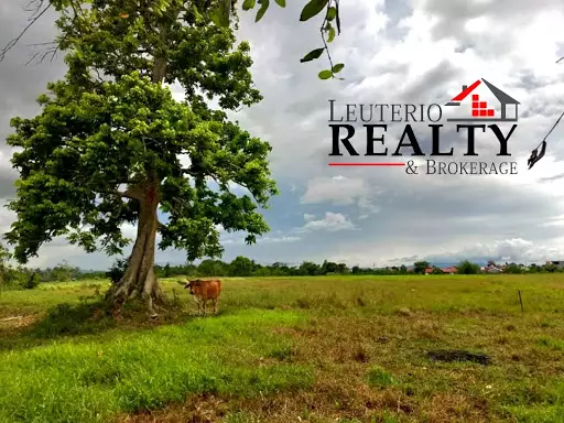 Agricultural /Farmlot