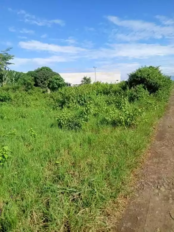 Residential Lot - photo 2