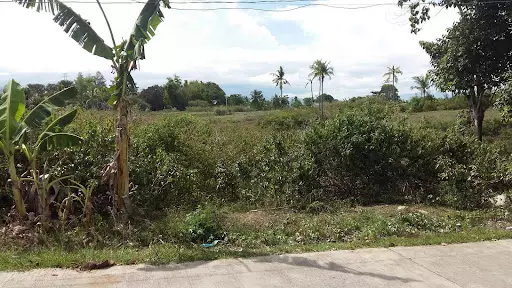 Open photo 54 of 57 — Lot for Sale in Amlan Negros Oriental