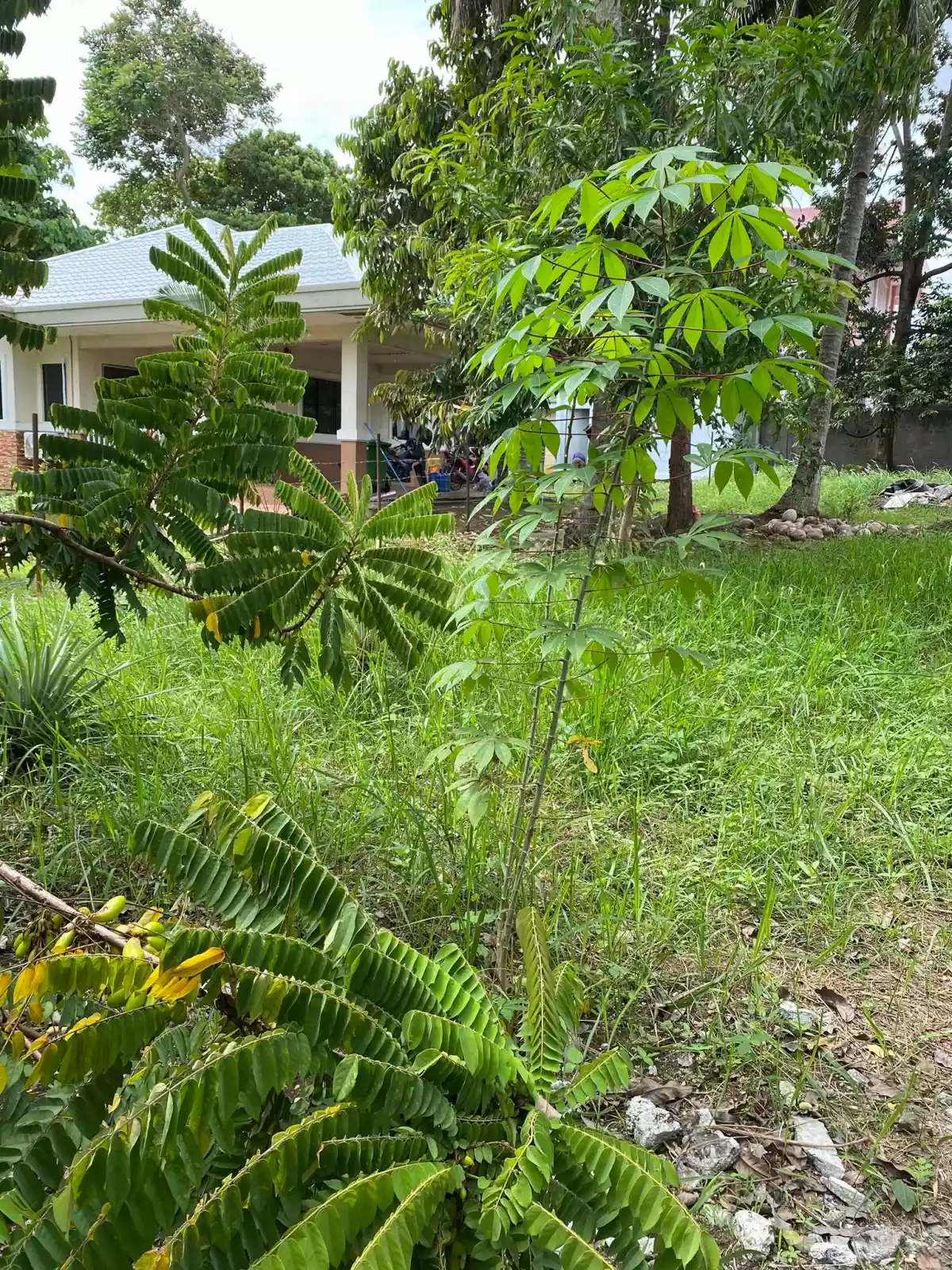 LOT FOR SALE ALONG MARGARITA ROAD — Residential Lot in Davao City, Davao del Sur, Philippines — Photo 3