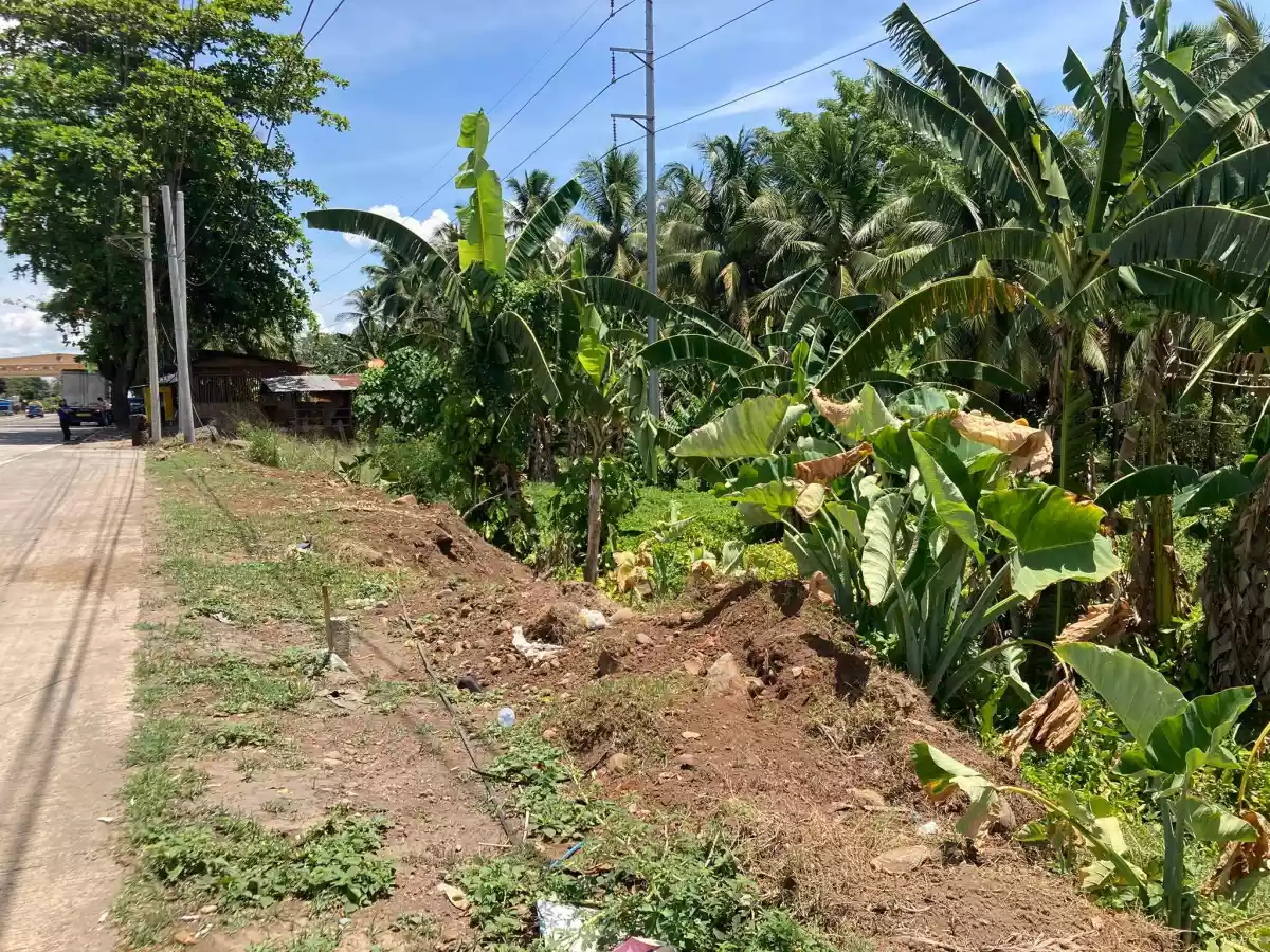 LOT FOR SALE IN TORIL — Commercial Lot in Santa Cruz, Davao del Sur, Philippines — Photo 4