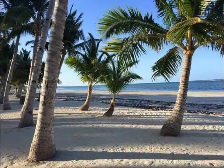 BANTAYAN BEACHLOT FOR SALE! CLEAN TITLE! — Beach Lot in Bantayan, Cebu, Philippines — Photo 4