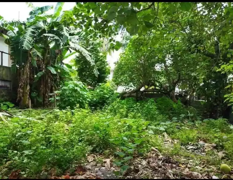LOT FOR SALE IN CLOUD 9, GENERAL LUNA, SIARGAO ISLANDS - photo 4