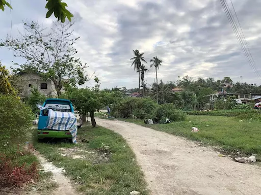 Lot for Sale in Looc Danao City — Agricultural Lot in Highway, Danao City, Cebu — Photo 2
