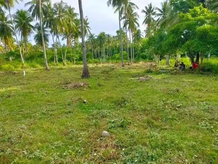 Residential in maayong tubig - photo 4