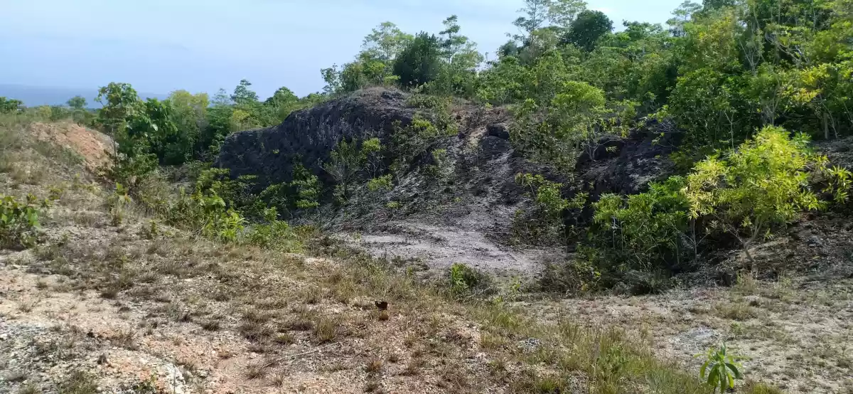 Lot For Sale Luyang, Siquijor — Agricultural Lot in Siquijor, Philippines — Photo 5