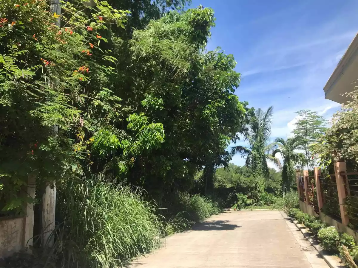 Vista La Playa Lot Only For Sale - photo 2