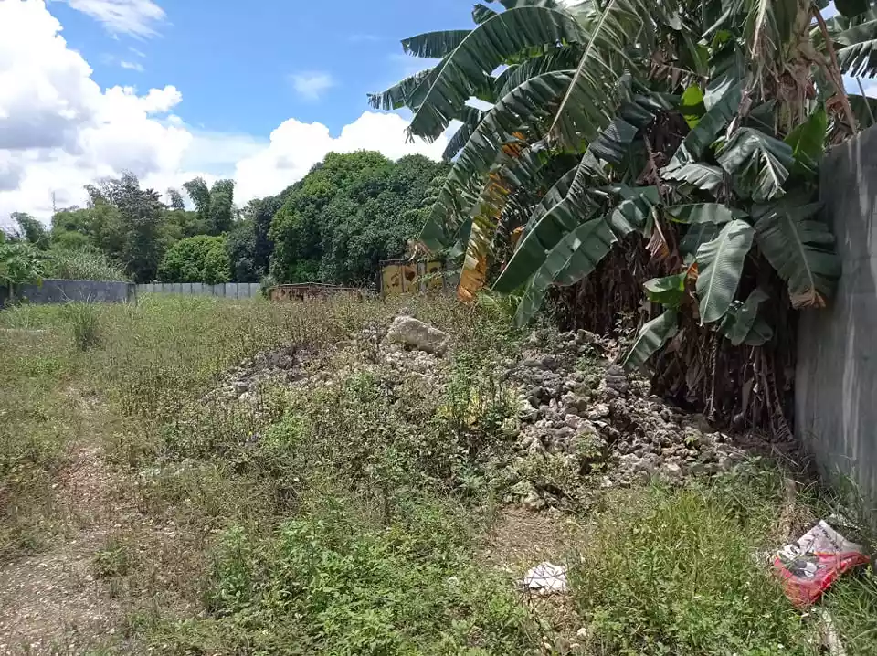 INDUSTRIAL LOT IN CONSOLACION - photo 7