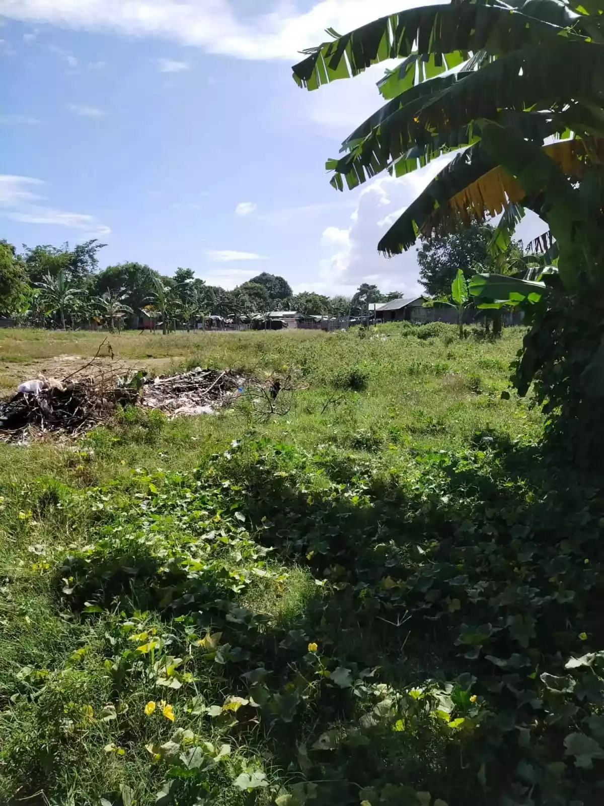 Affordable lot for sale - photo 6