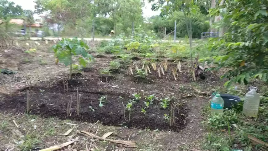 Lot for sale - photo 3