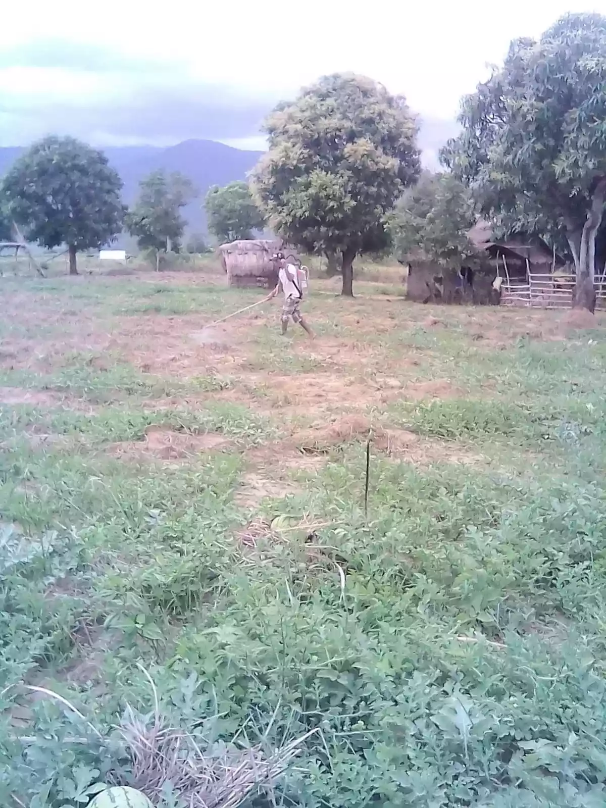AFFORDABLE RAW LOTS IN NARRA PALAWAN NEAR PUERTO PRINCESA CITY! - photo 3