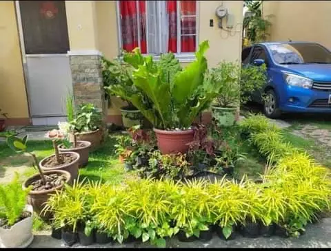 House and Lot for Sale at Villa Solana — House and Lot in Tugbongan, Consolacion — Photo 4