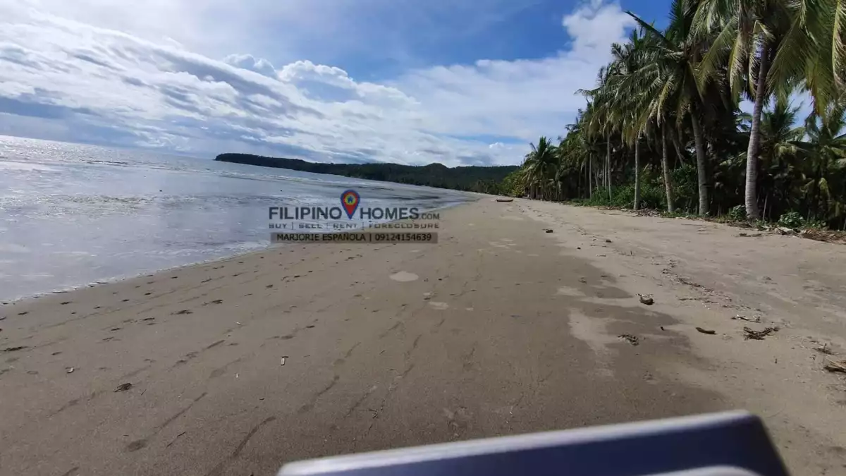 21 Hectares Beach for Sale  at Cablalan, Glan — Beach Lot in Sarangani, Philippines — Photo 3