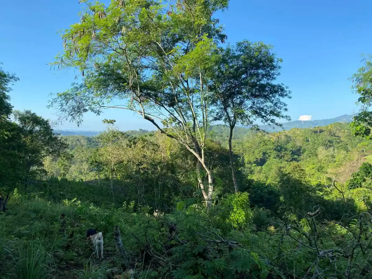 Open photo 22 of 27 — Over Looking LOT FOR SALE along Brgy Road Bayanga, Cagayan de Oro City