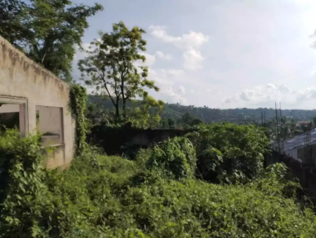 Residential land - photo 6